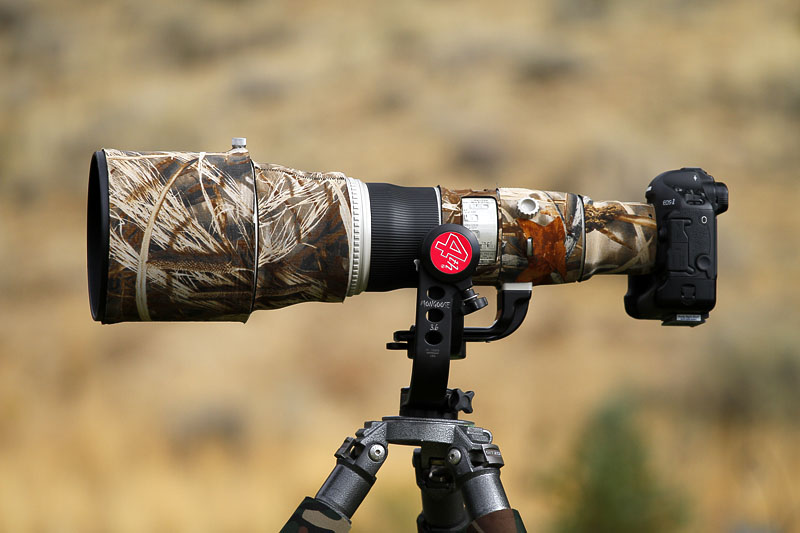 My Canon EF 800mm F5.6L ready for action