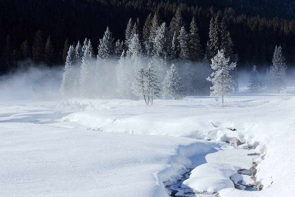 Yellowstone Scene