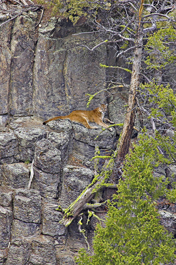 Exceptional Habitat