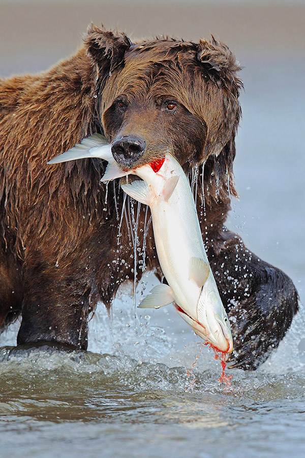 Successful fisherman