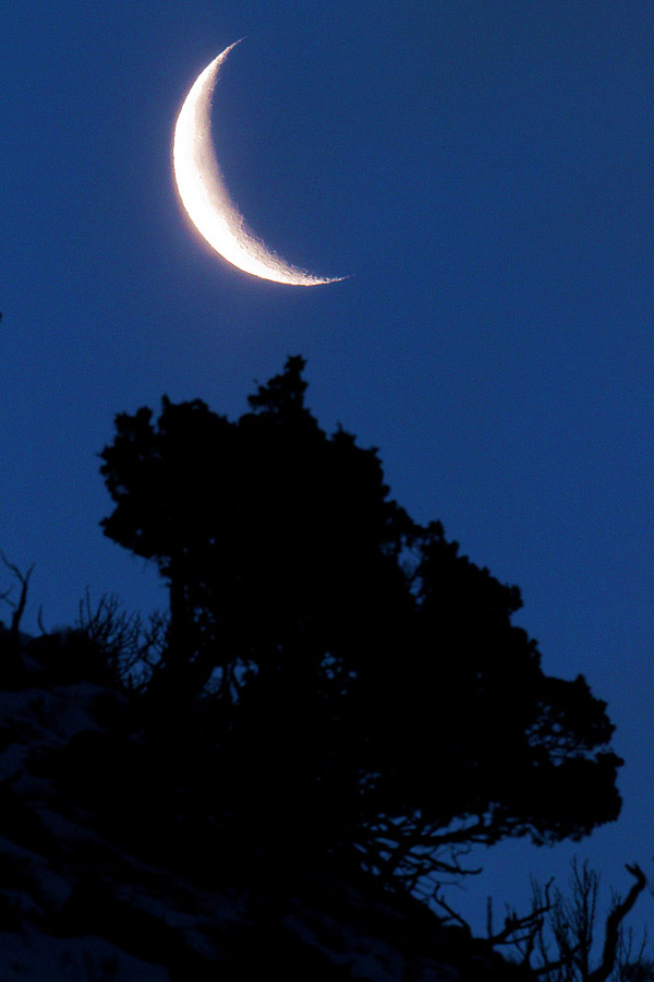Morning Moonset