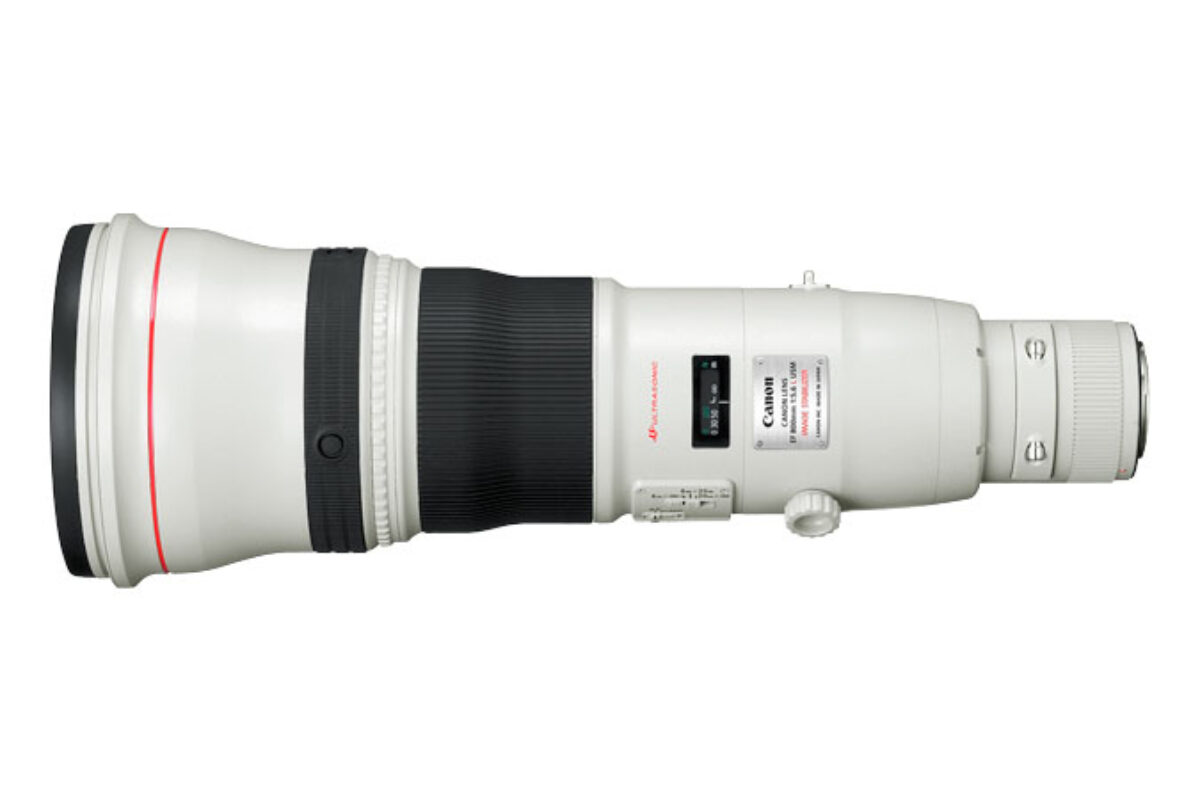 Canon EF800mm F5.6L IS   Great lens…Sometimes!