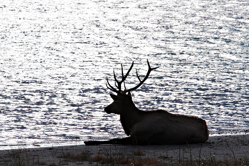 elklake1