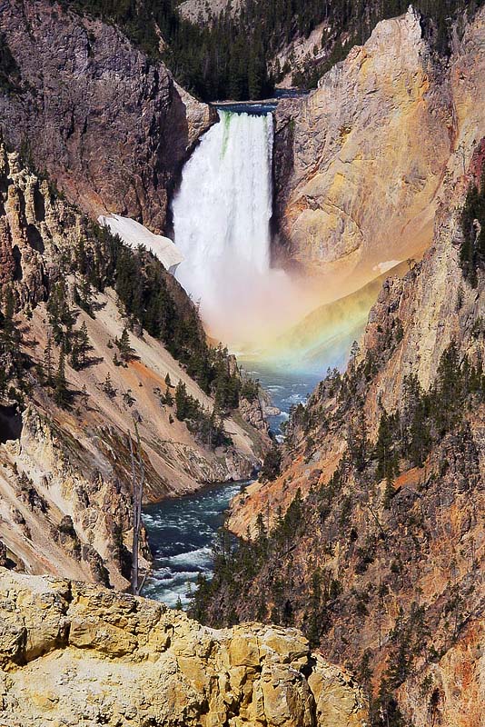 Lower Falls of the Yellowstone