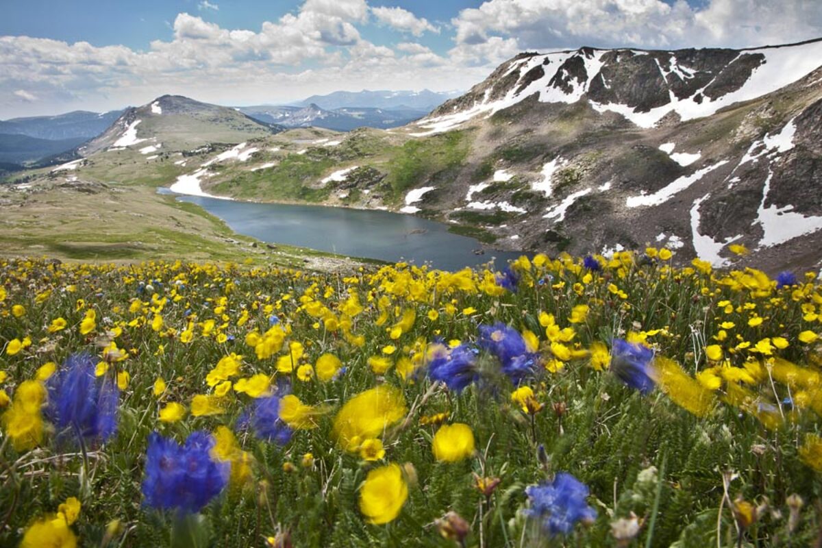 Visions of the Absaroka-Beartooth Front