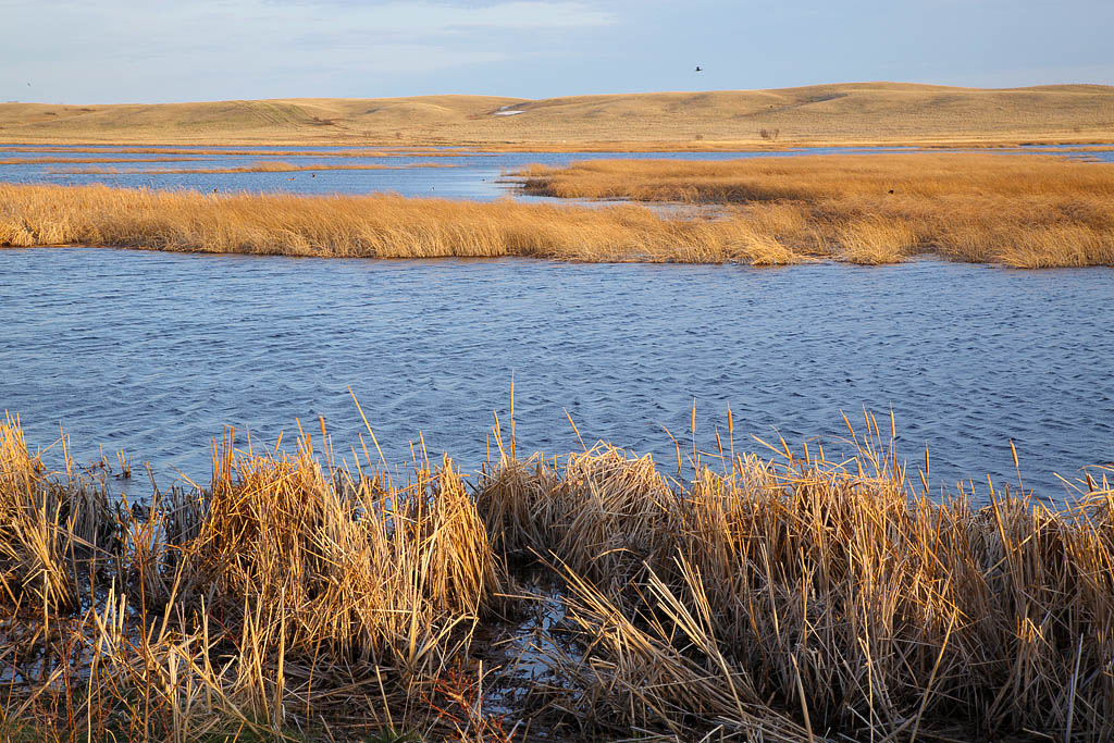 Medicine Lake NWR