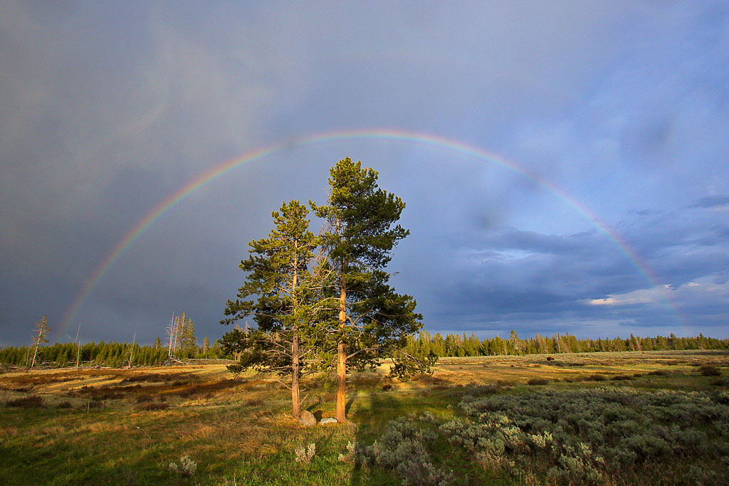 Rainbow over Swan Lake Flats