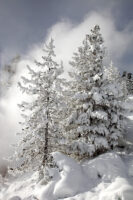 Winter in Yellowstone