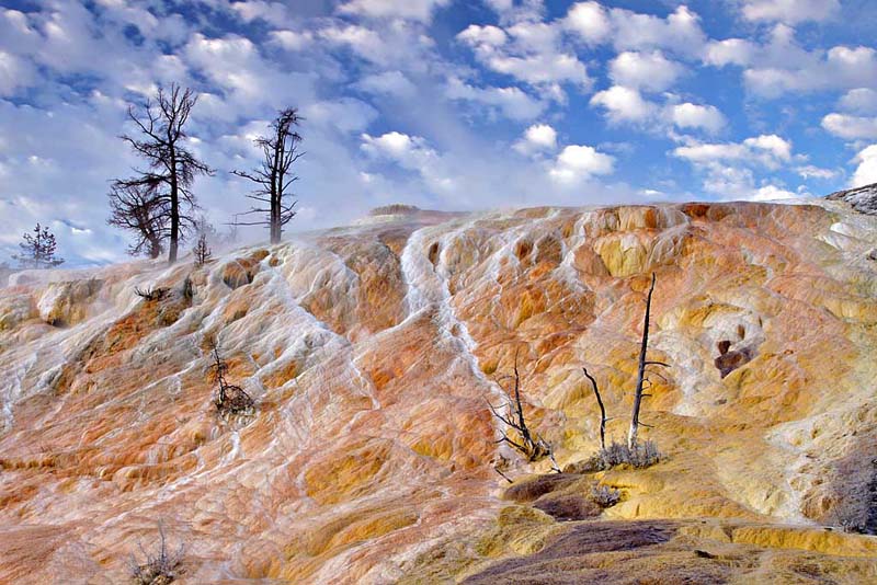 Minerva Terrace at Mammoth Hot Springs